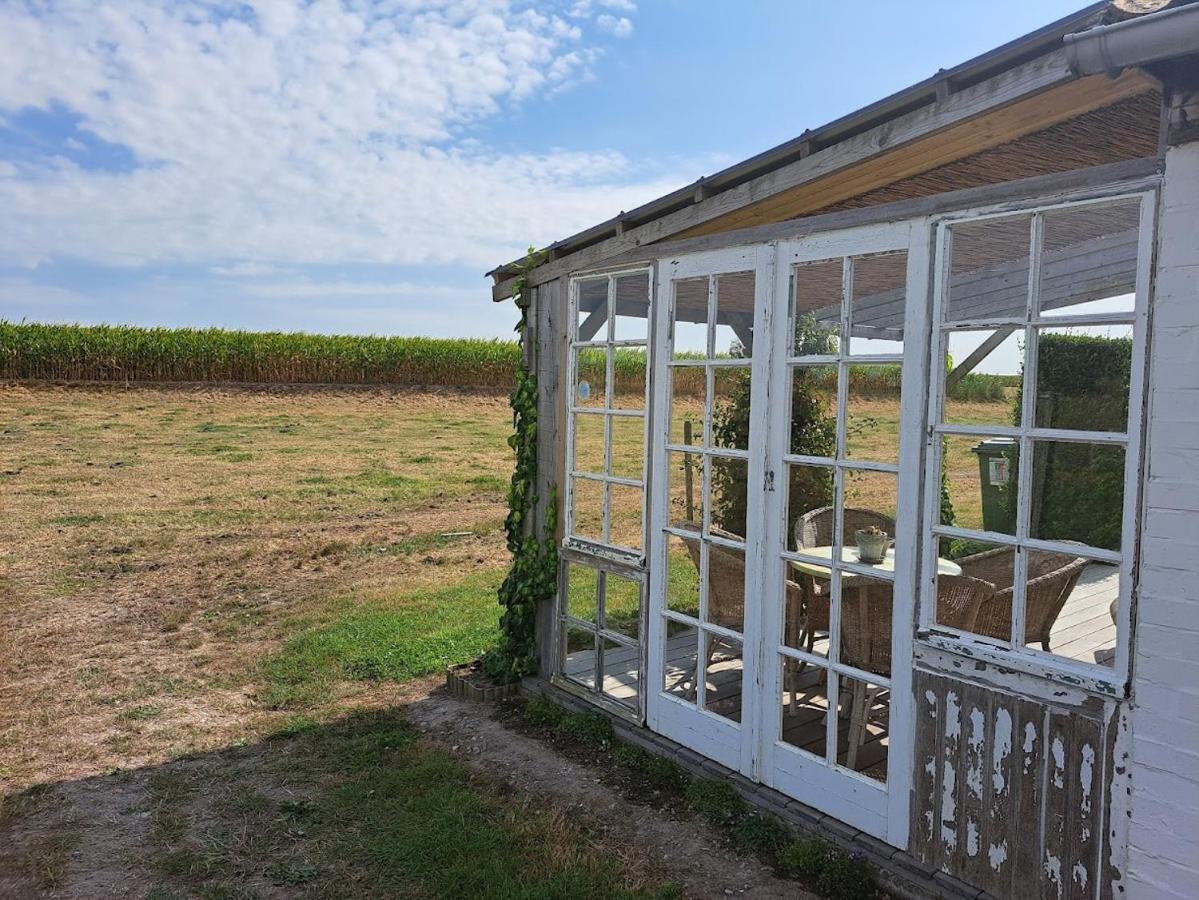 't Haringehuys Holiday home *