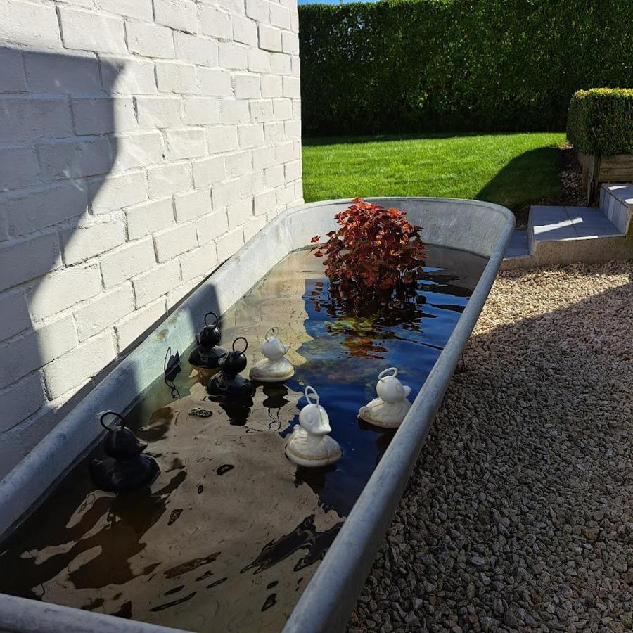 't Haringehuys * Poperinge