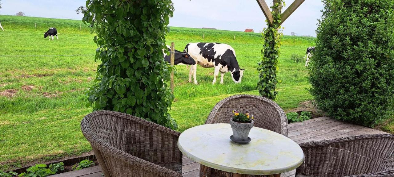 't Haringehuys Hébergement de vacances *