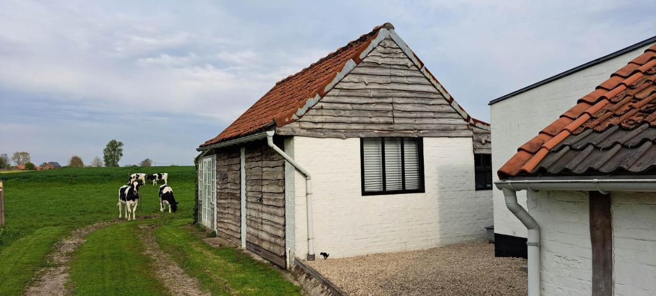 Holiday home 't Haringehuys Poperinge